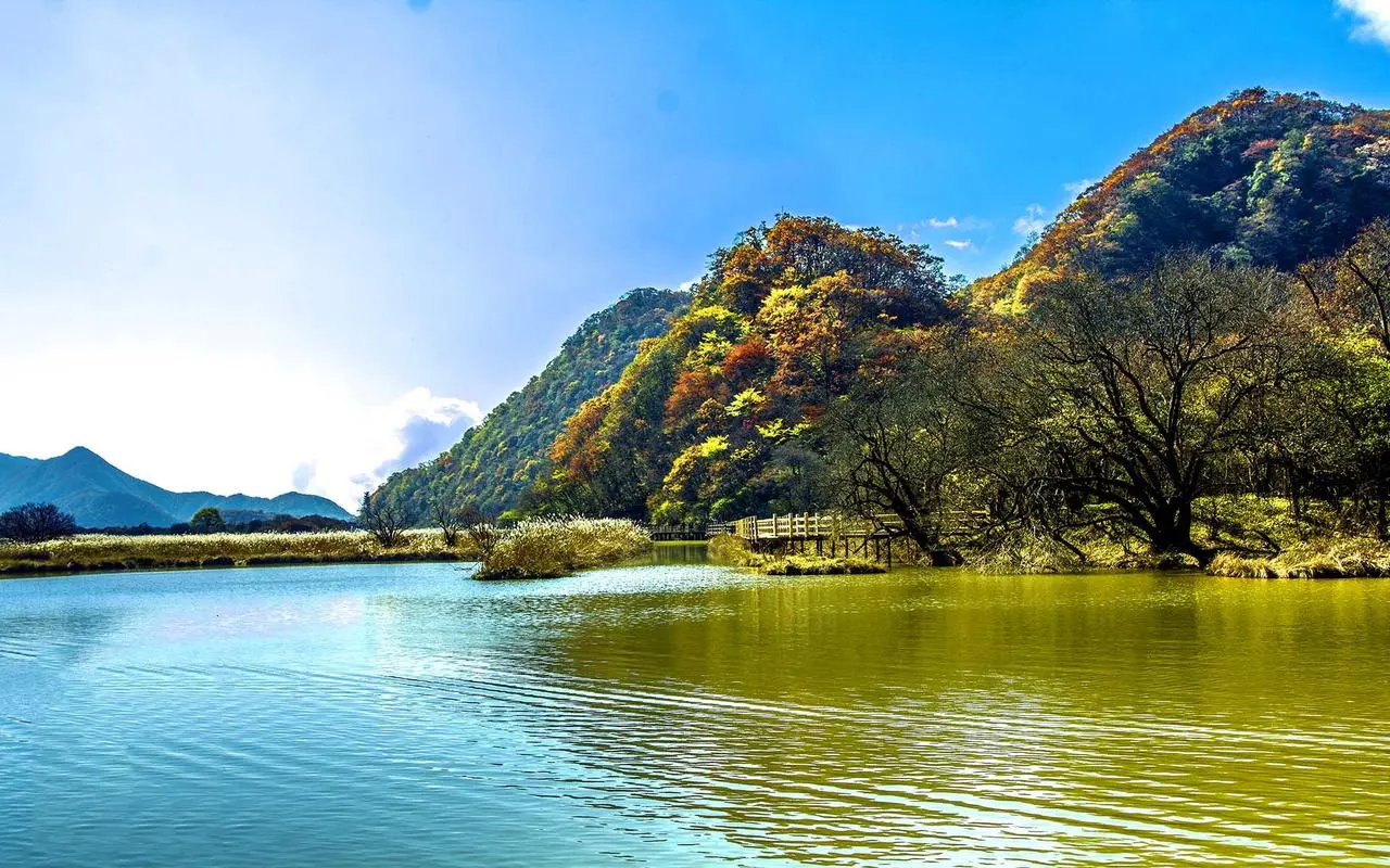 创新高端